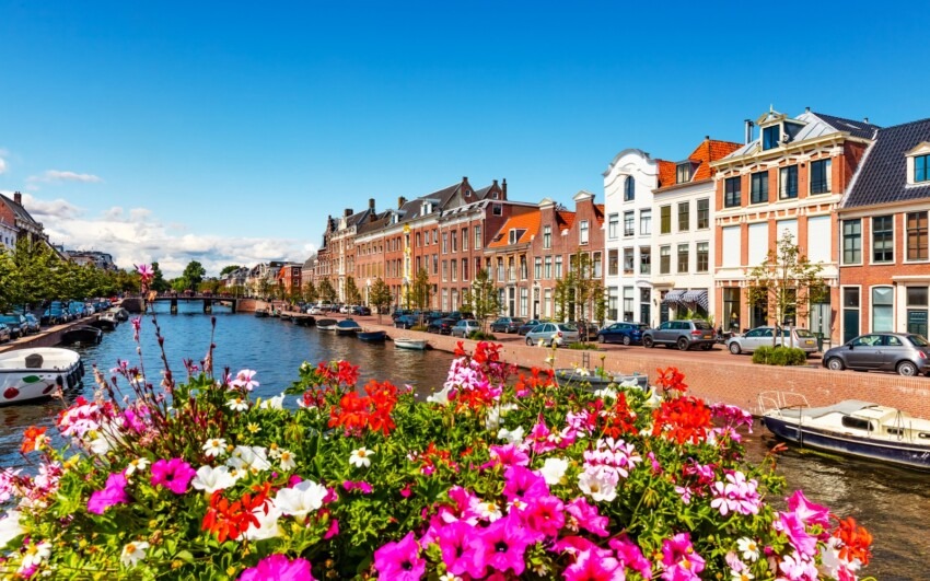 SEO bureau Haarlem